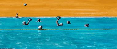 跨区域体育资源共享平台